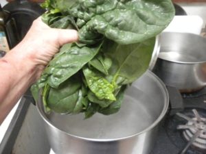 freezing spinach - the plunge 039