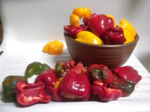 a peppers to freezer 001
