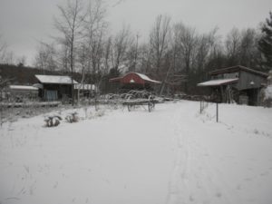 a-winter-snow-002