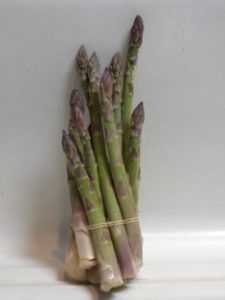 Asparagus lg email52310 024