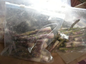 short asparagus 003