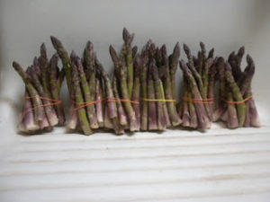 short asparagus 007