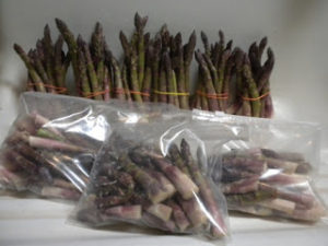short asparagus 008