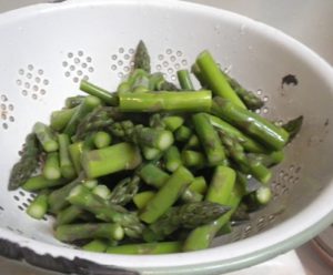 freezing asparagus  007