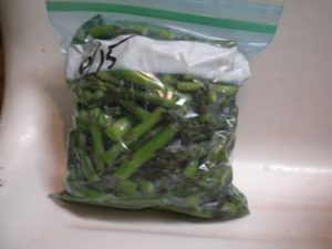 freezing asparagus  008