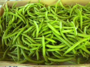beans new crop 044
