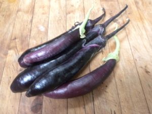 Asian eggplant sm web 001