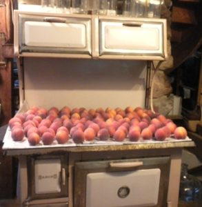 cook stove full of peaches 002