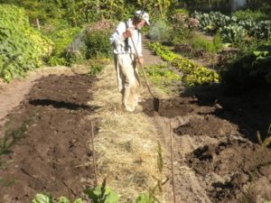 ken mulch and compost best 096