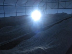 covering-plants-in-mobile-high-tunnel-with-headlamp-ken-013