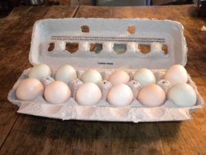 eggs-sm-web-030310-004